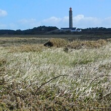 Yann Le Pihiff - GR 340 - Tour de Belle Ile (France)