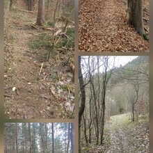 Daniel Mußbach - Jena Kernberge Trail