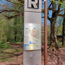 Daniel Mußbach - Rennsteig (Germany)