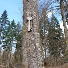 Daniel Mußbach - Rennsteig (Germany)