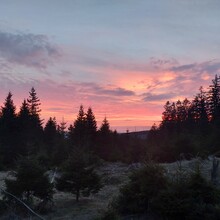 Daniel Mußbach - Rennsteig (Germany)