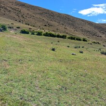 Mercedes Nieto Lajo - Puerta del Sol / Inti Punku (Peru)
