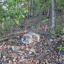 Ferrell Moultrie, Josh Granderson, Elizabeth Granderson - Ozark Highlands Trail (AR 325mi route per OHTA)