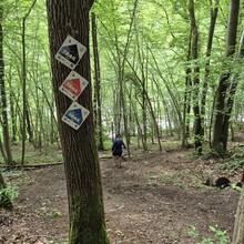 Karen Clukers, Stijn Compernolle - Trail 5170 - black route - La Majestueuse (Belgium)