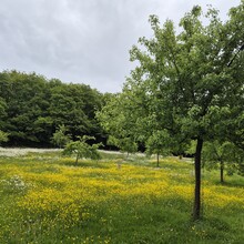 Karen Clukers, Stijn Compernolle - Trails Godinne Blue trail (Belgium)