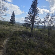 David Eriksson - Skifsenleden @ Fredriksberg Dalarna (Sweden)