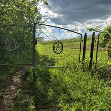 Dominic Thurmer - Saxon Wine Trail