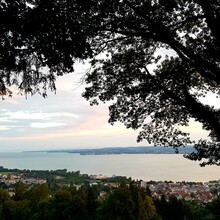 Anja Kobs - Bodenseeblick (Austria)