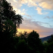 Anja Kobs - Bodenseeblick (Austria)