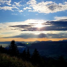 Anja Kobs - Bodenseeblick (Austria)