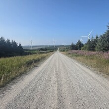 Mike Jenkins - Llwybr Coedwig Cymru Trail (UK)