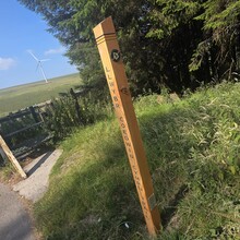 Mike Jenkins - Llwybr Coedwig Cymru Trail (UK)