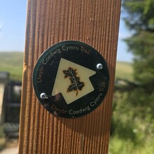 Mike Jenkins - Llwybr Coedwig Cymru Trail (UK)