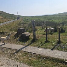 Mike Jenkins - Llwybr Coedwig Cymru Trail (UK)