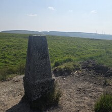 Mike Jenkins - Llwybr Coedwig Cymru Trail (UK)