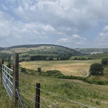 Mike Jenkins - Llwybr Coedwig Cymru Trail (UK)