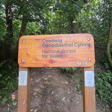 Mike Jenkins - Llwybr Coedwig Cymru Trail (UK)