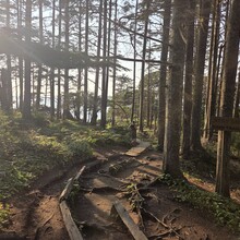 Matthew Tong - Washingtons Wilderness Coast