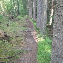 Dean Banko - Duff Park / Pleasant Valley Park loop (PA)