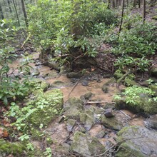 Dean Banko, Jen Gardner - Bear Run Nature Reserve Black Loop (PA)