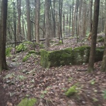 Dean Banko, Jen Gardner - Bear Run Nature Reserve Black Loop (PA)