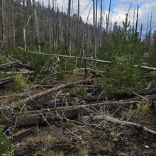 Sidney Noble - Strawberry Mountain Wilderness Traverse (OR)