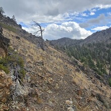 Sidney Noble - Strawberry Mountain Wilderness Traverse (OR)