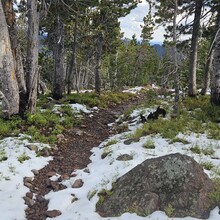 Sidney Noble - Strawberry Mountain Wilderness Traverse (OR)