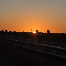 Julie Brock - Perth to Sydney
