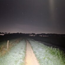 Sander Hartogensis - Walk of Wisdom (Netherlands)