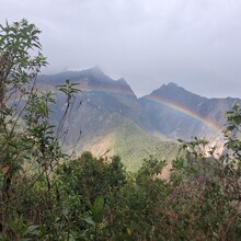 Mercedes Nieto Lajo - Capuliyoc - Aguas Calientes (Peru)