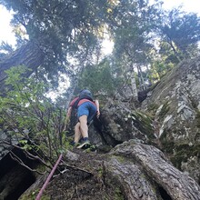 Holly Alpine, Will Alpine - Mailbox - Granite Linkup (WA)