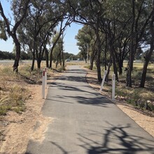 Julie Brock - Perth to Sydney
