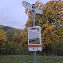 Kerstin Hüsemann - Milseburgweg HWO3 (Germany)