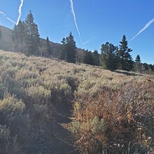 Colton Gale - Summit Trail (South Warner Wilderness, CA)