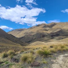Tyge Bradshaw - Coronet Loop Trail
