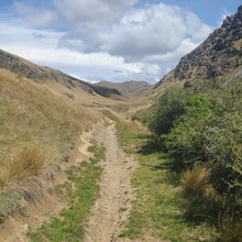 Tyge Bradshaw - Coronet Loop Trail