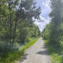 Axel Karst - Steinhuder Meer Rundweg