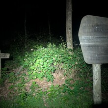 Bob Stewart - Benton MacKaye Trail (GA, TN, NC)