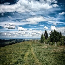 Florian Felch - Bodenseeblick (Austria)