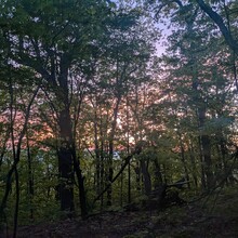 Bob Stewart - Benton MacKaye Trail (GA, TN, NC)