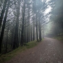Andrew Paylor - 6  Whinlatter Wainwrights (UK)