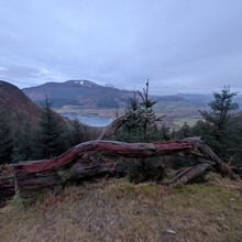 Andrew Paylor - 6  Whinlatter Wainwrights (UK)