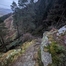 Andrew Paylor - 6  Whinlatter Wainwrights (UK)