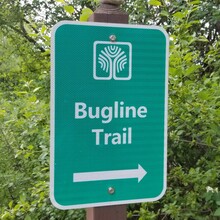Renata Poetzl - Bugline Trail (WI)