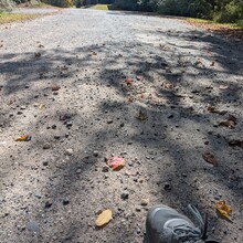 Cristina Marcalow - Floodwater Triple Crown (MA)