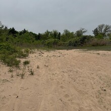 Stephanie Leake - Cross Timbers (TX)