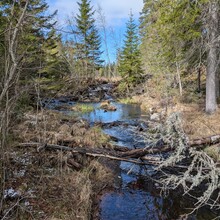 Karl Håkansson - Vildmarksleden Bjursås