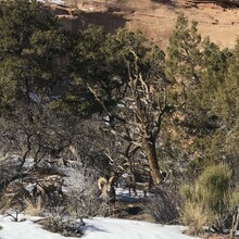 Andrew Park, Zack Kelly - Colorado National Monument 10 Canyon Traverse (CO)