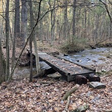 Andrew Piotrowski - Appalachian Trail through Michaux State Forest (PA)